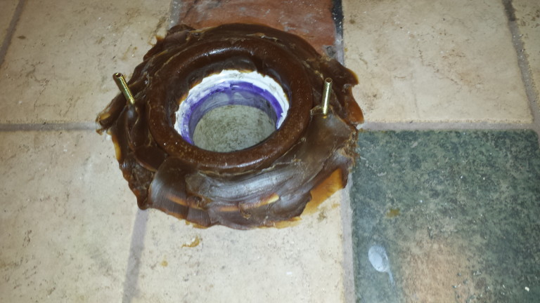 Tree Roots In Toilet Drains Are Dangerous | Robinson's Plumbing Service